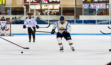 Ice Rink homepage image